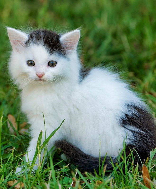 Вот мы и встретились