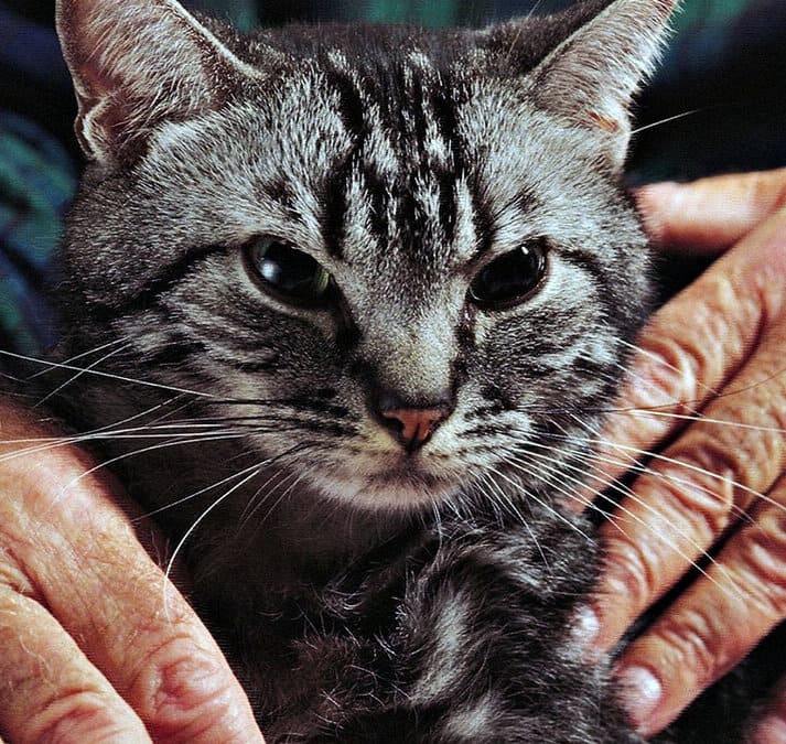 Все к лучшему