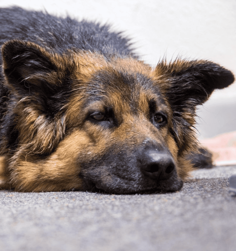 Не думал, что снова тебя увижу