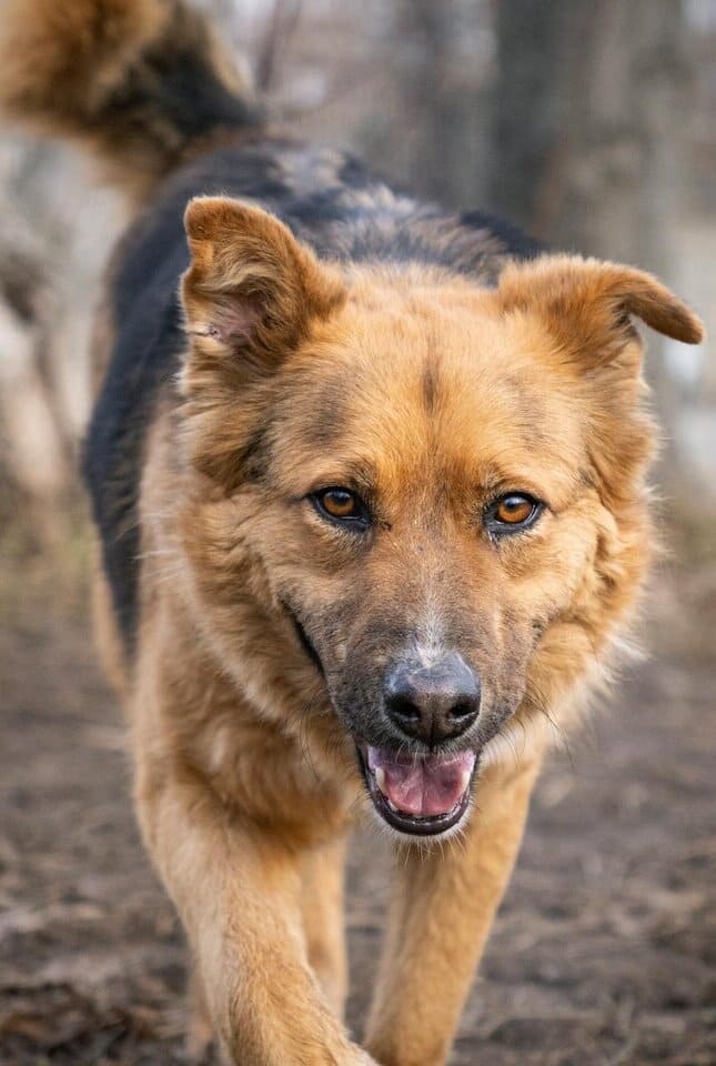 «Мужики, надо бы помочь человеку» - сказал Алексей, и все сразу притихли
