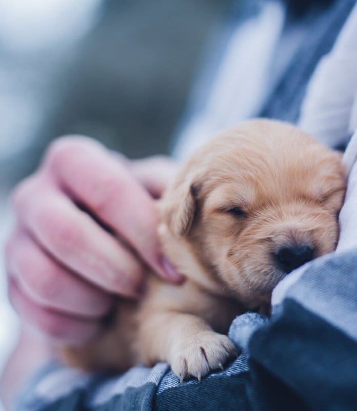 Запретная комната