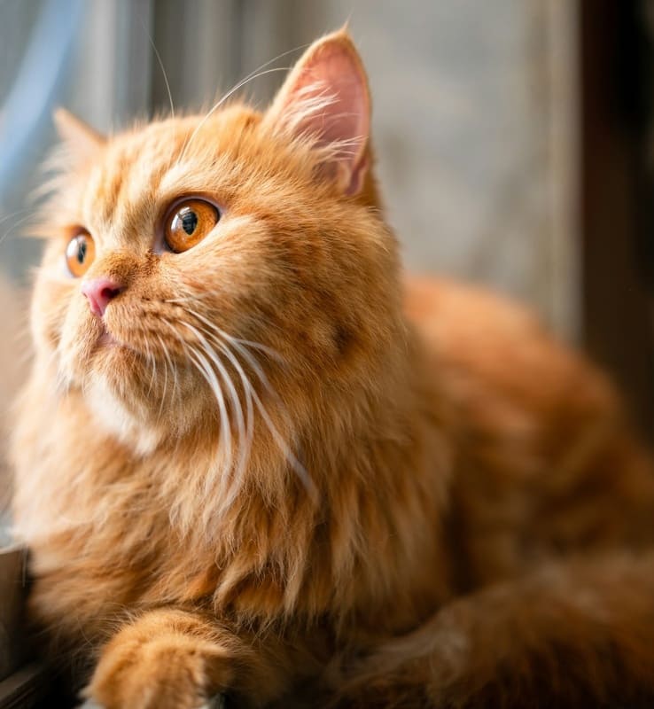 Еле выпросила прощения