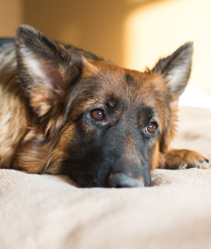 Если любишь, отпусти