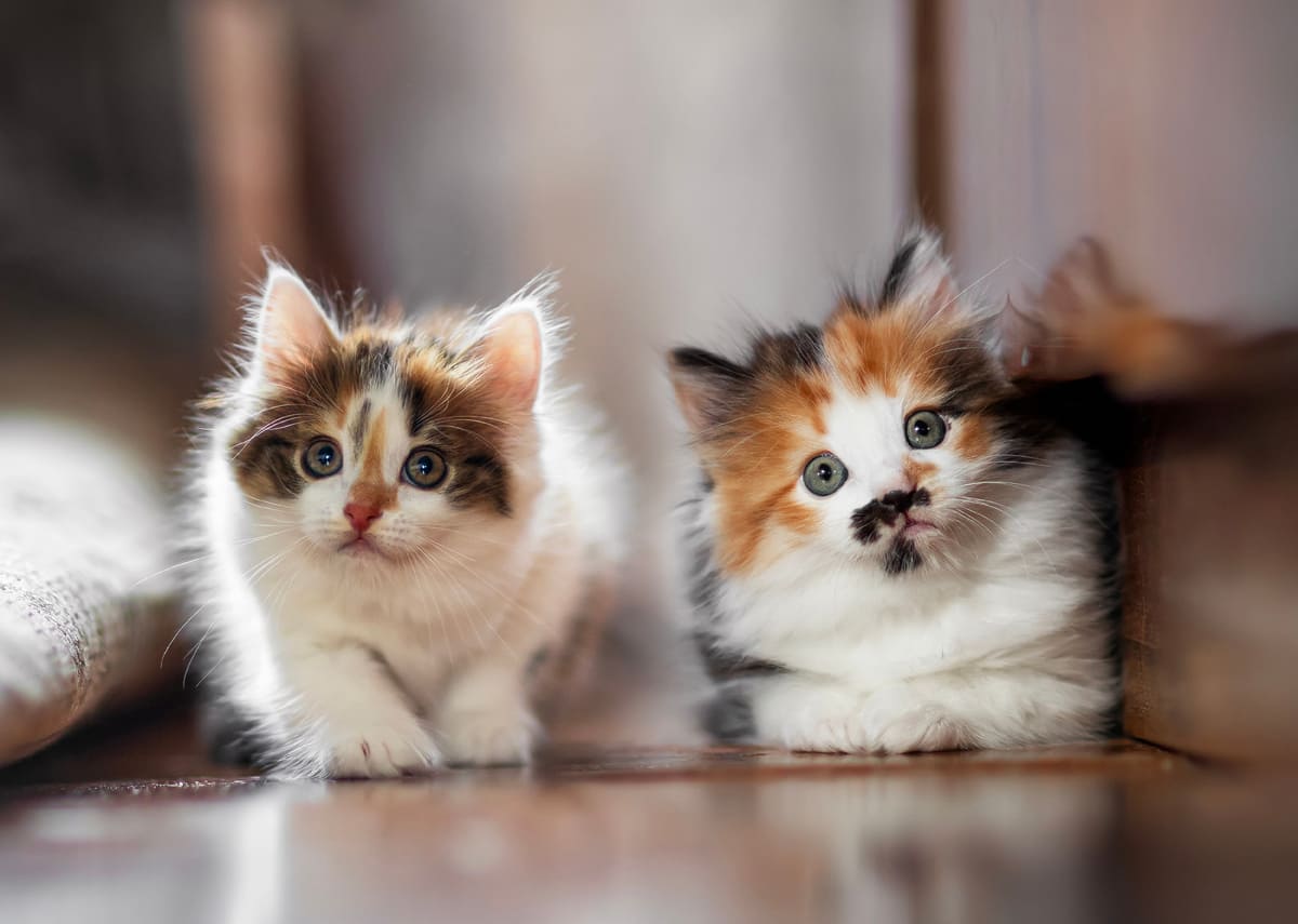 Зря грешили на судьбу