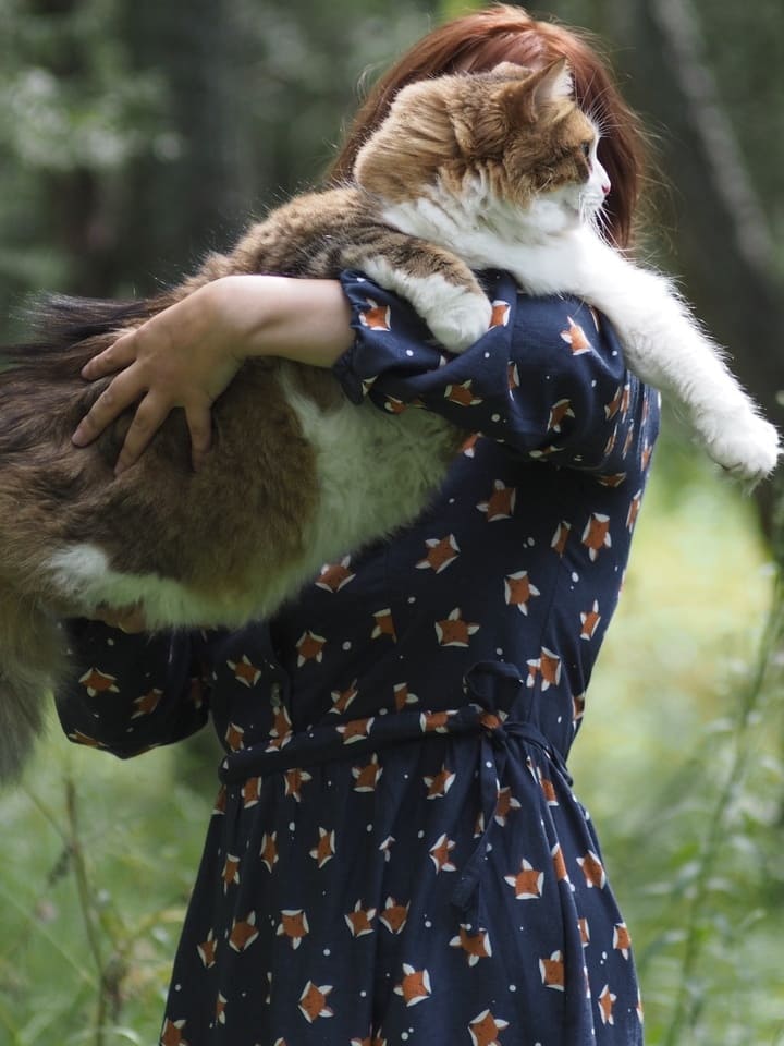 — Ты мне тут давай не наглей, вон у тебя полная миска!