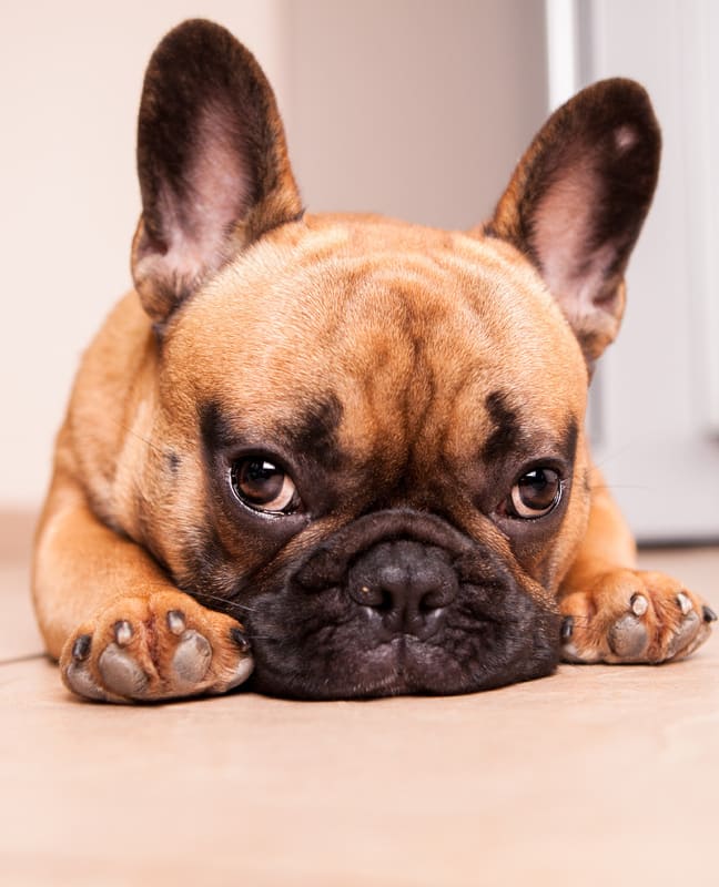 Несговорчивая жена