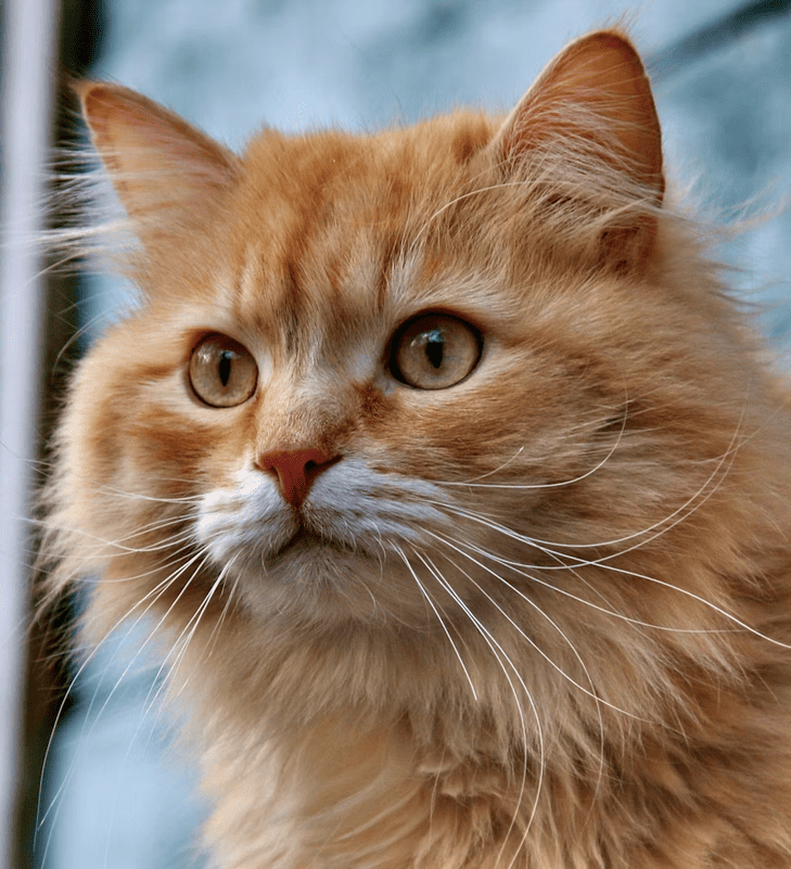 Забирай даром