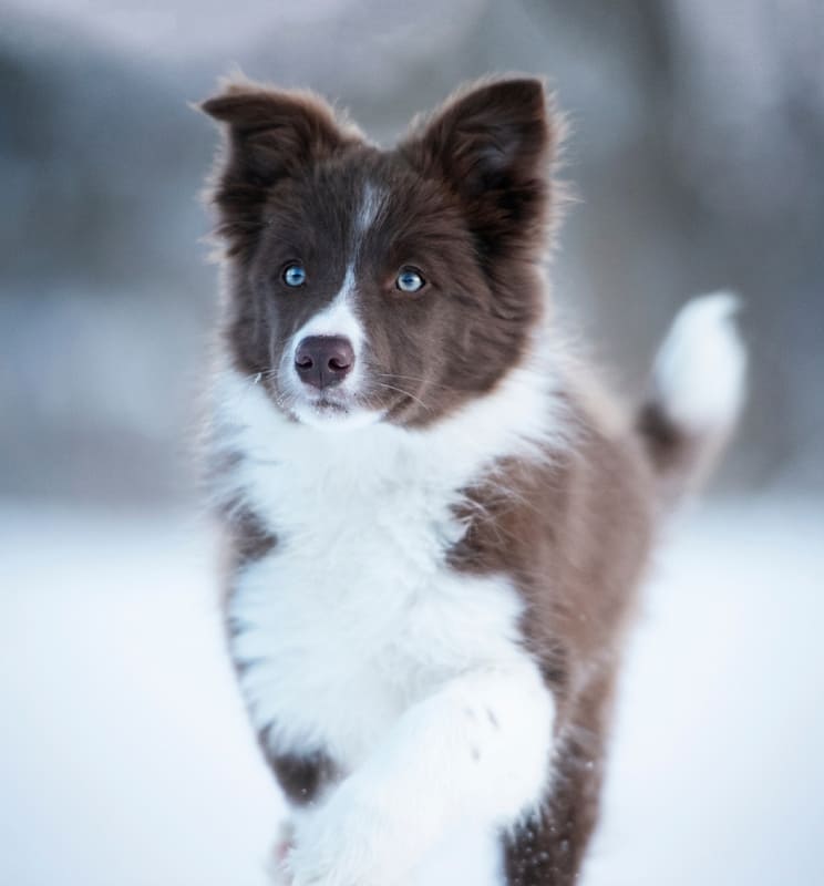 Пришла поговорить