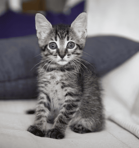 Давно пора о нём забыть