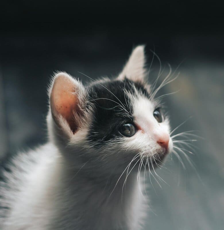 Предупреждение