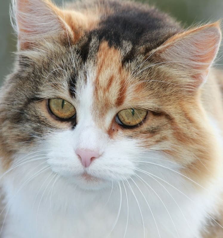 На грани отчаяния