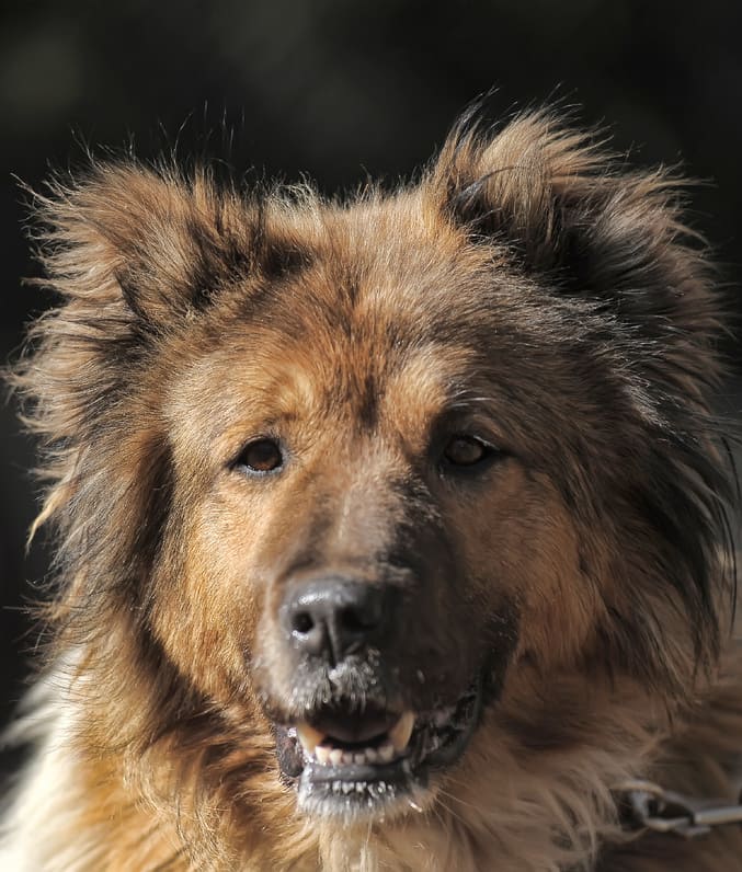 Такая вот судьба