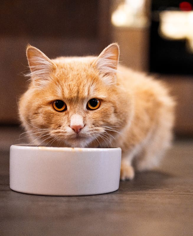 Проучить мужа