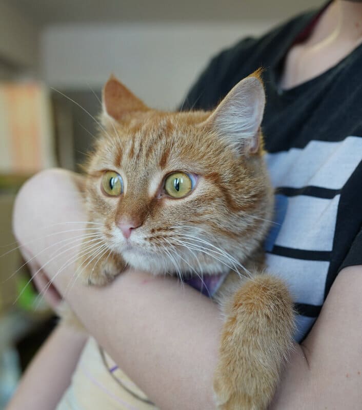 Мама приехала