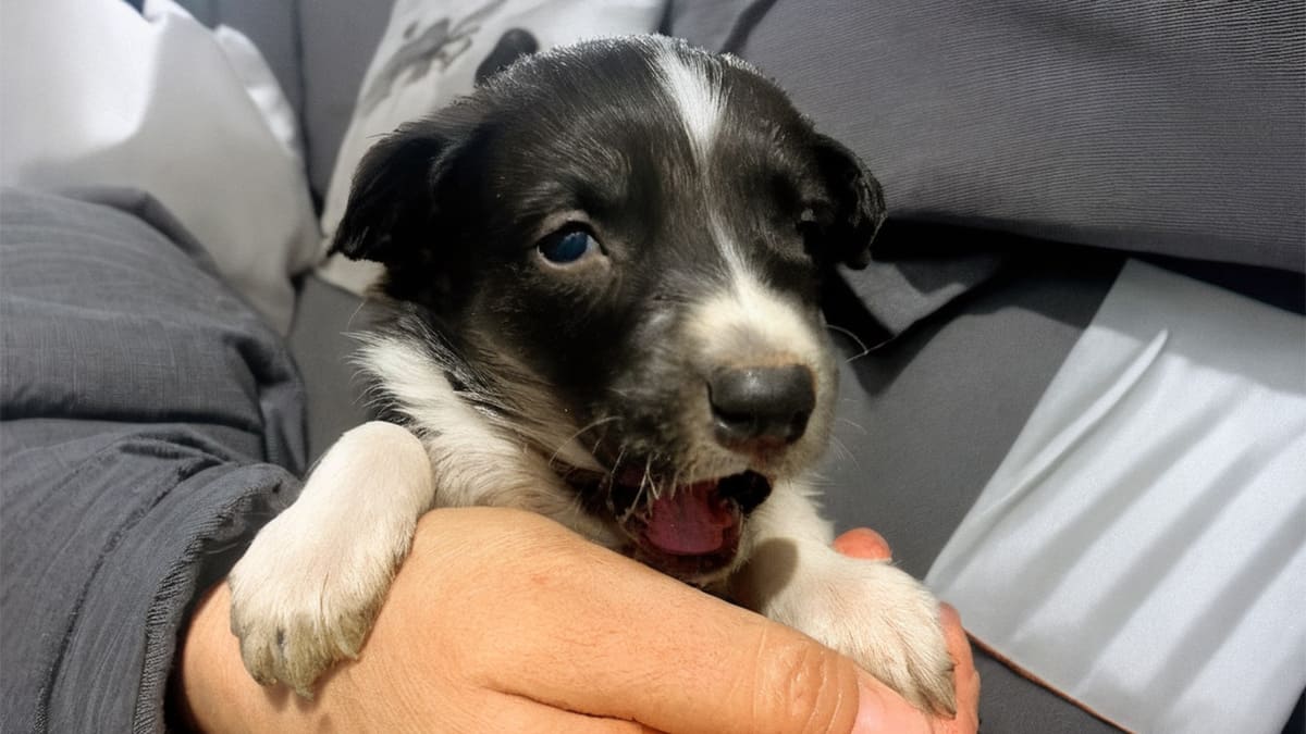 Есть ради кого жить