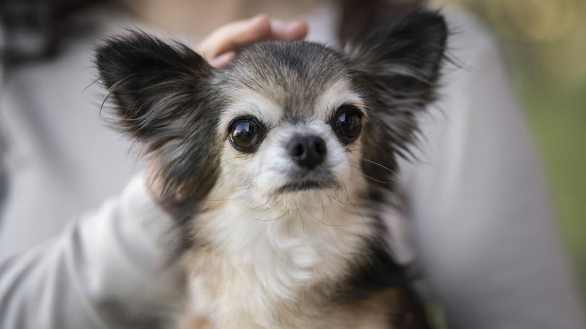 Не бросить в беде