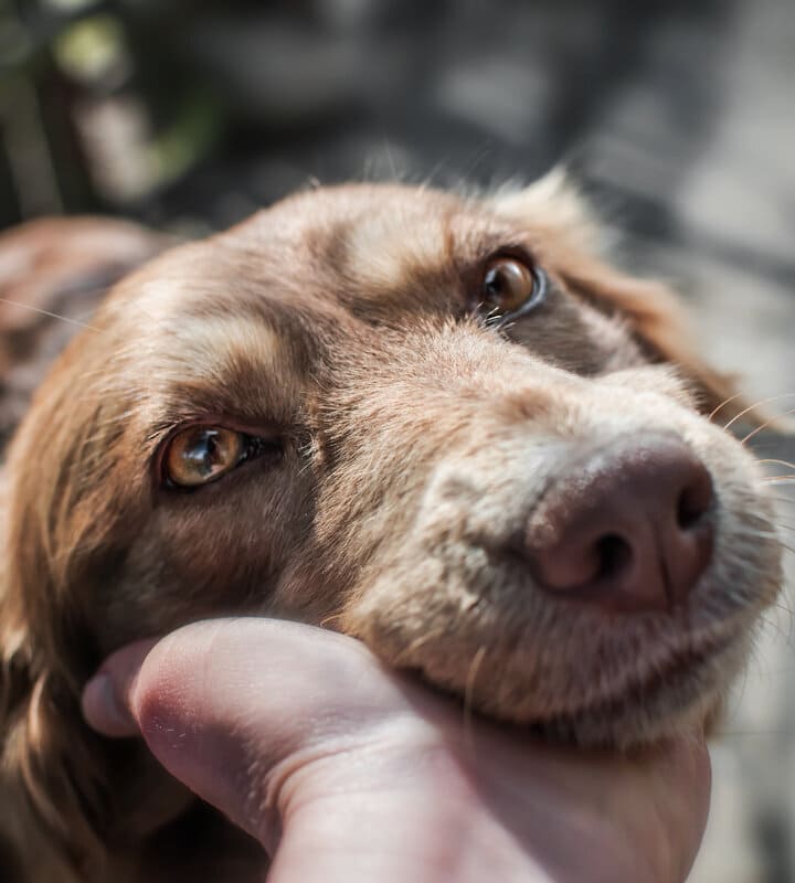 Друзей не бросают