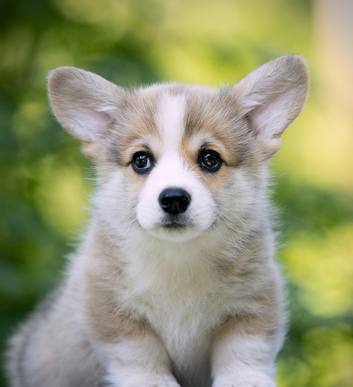 Надо жить дальше