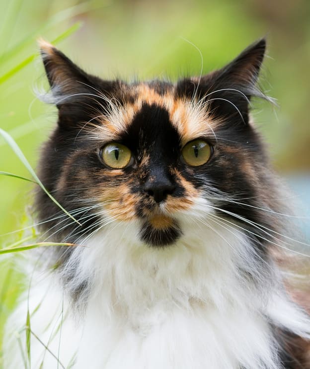 Удачно съездили на дачу