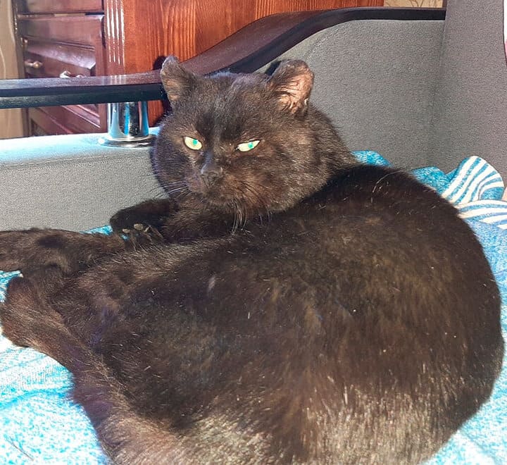 Забыли Макса