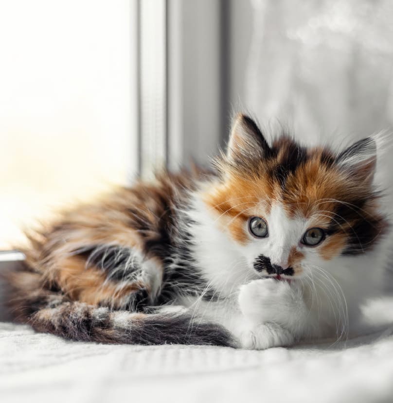 - Дочка, у меня сейчас нет денег, - сказала мама, и по её щекам потекли слёзы