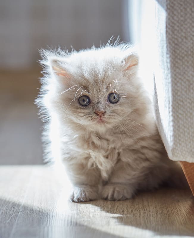 Никому не нужна