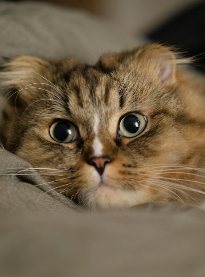 Не хочу тебя видеть