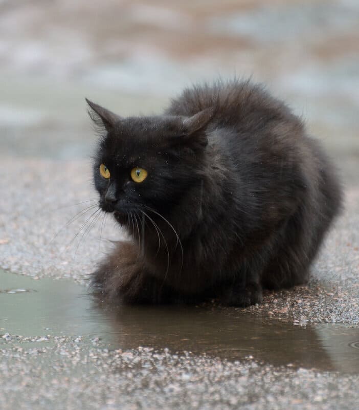 Не думай о будущем