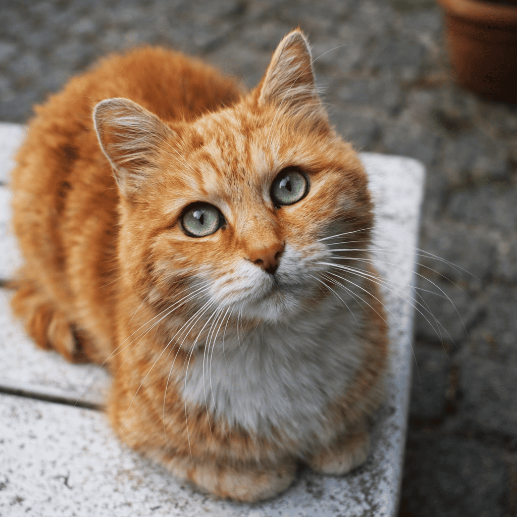 Ну сколько можно, Миша?