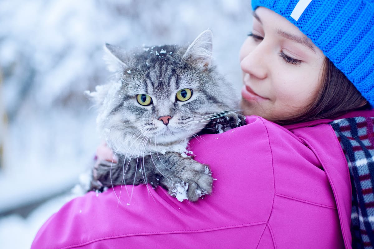 В ночь на Рождество