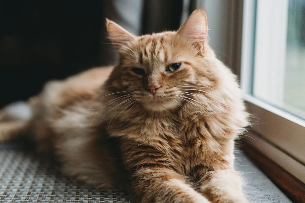 Найди себе другую