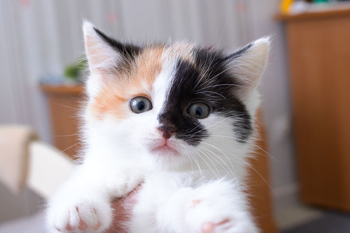 Чувство вины