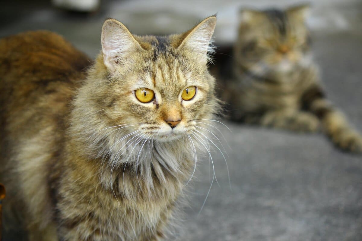 Судьба у них такая