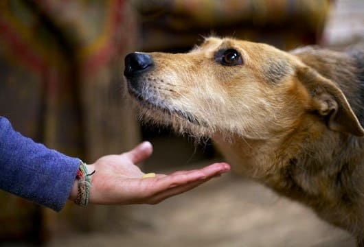 Удивительный случай