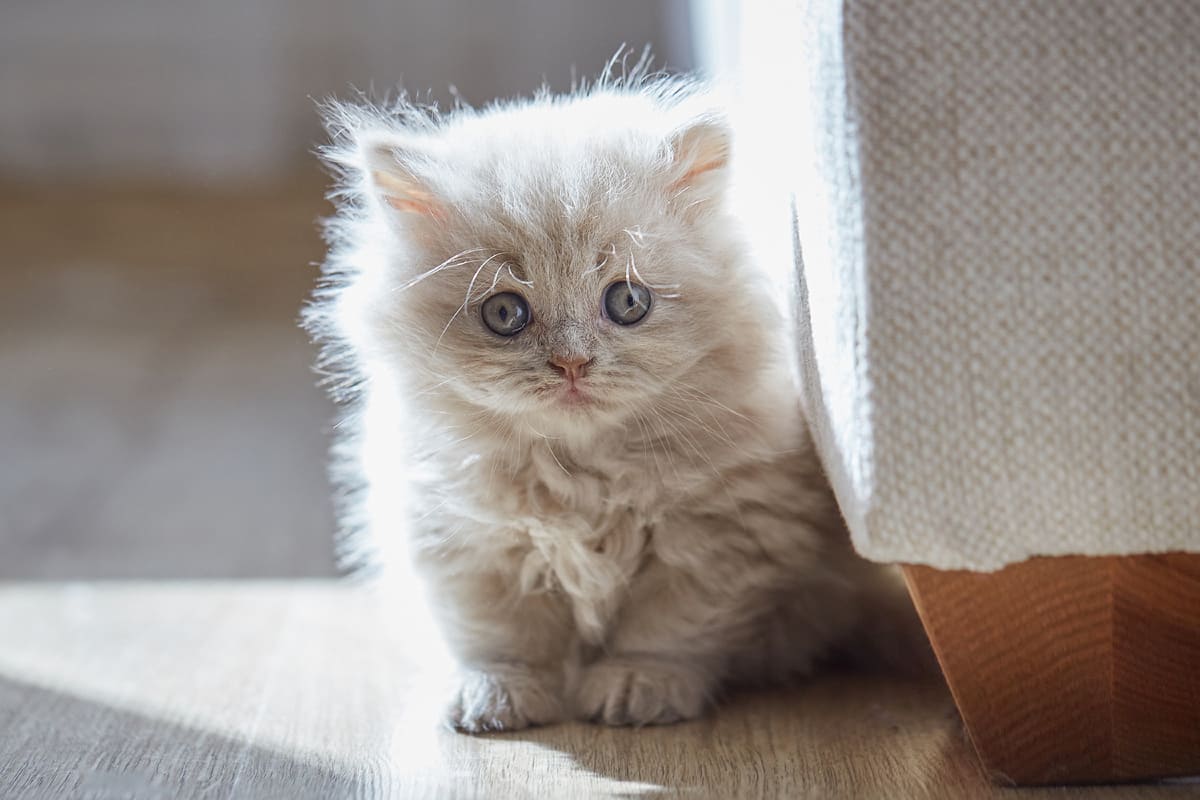 Ни о чем не жалею