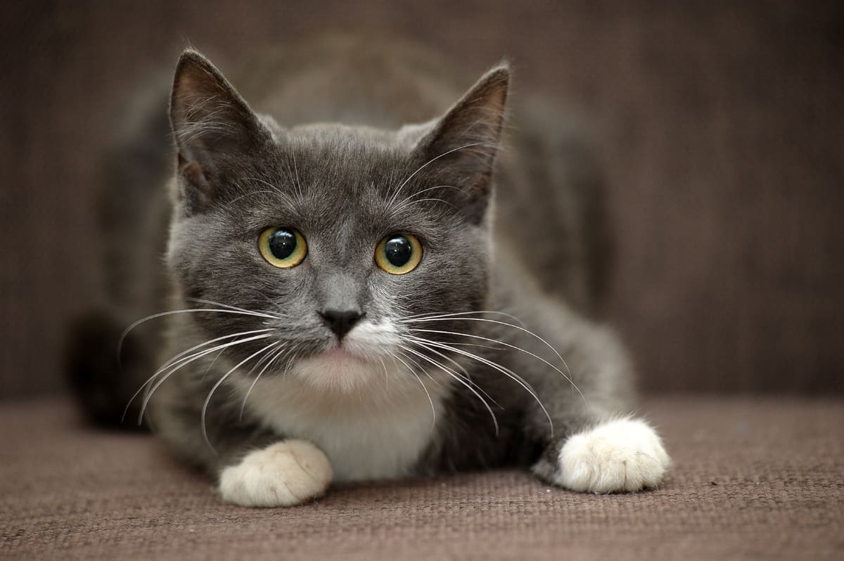 Спасибо тебе