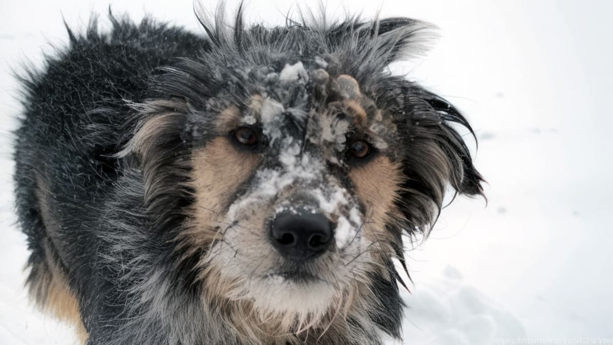 Кто добрее?