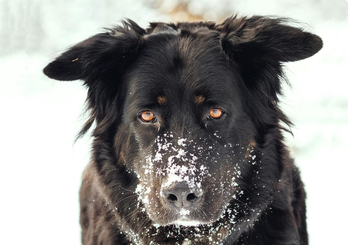 Когда болит душа