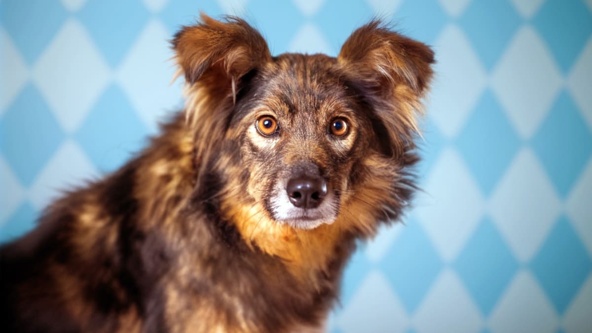 Там, где сердце