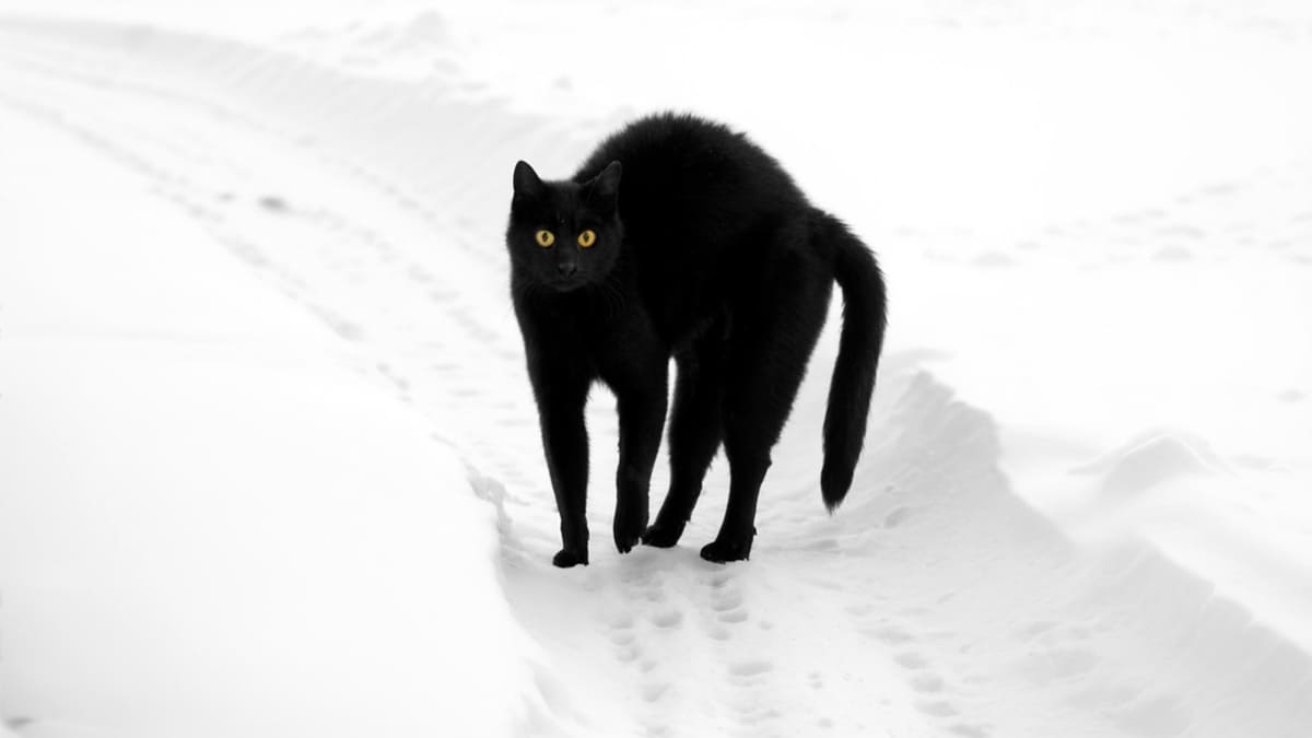 Тоненькие ниточки судьбы