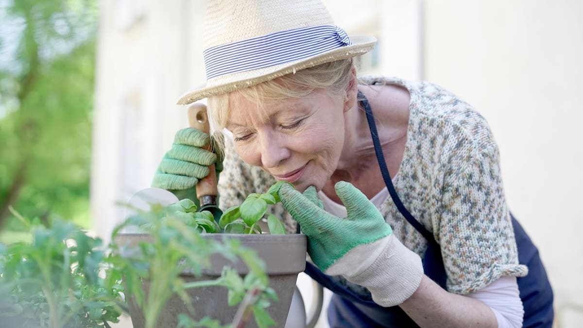 Хватит бороться