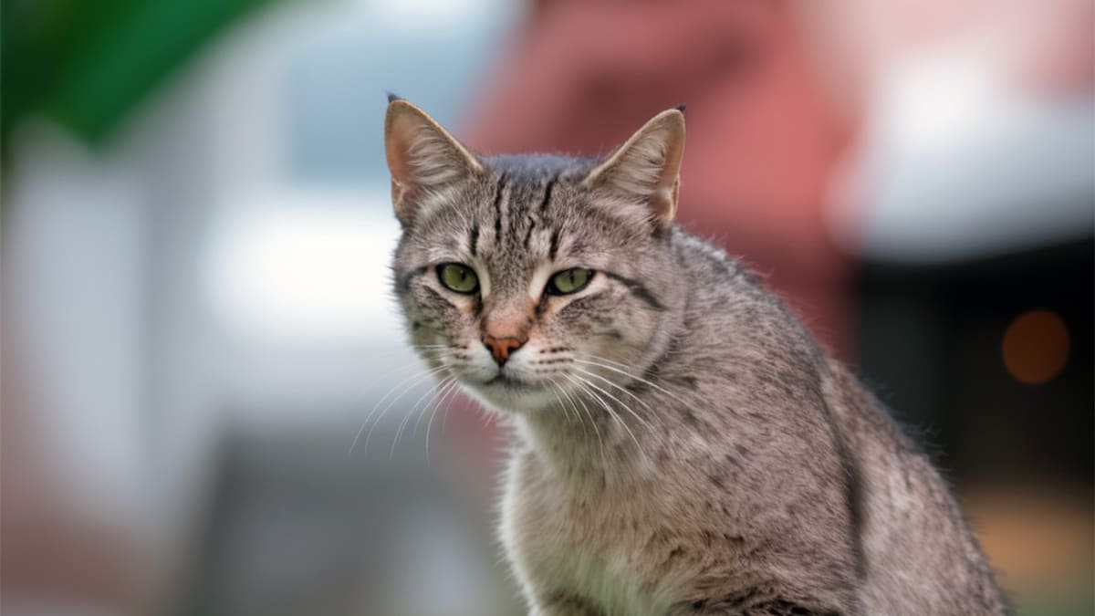 Прыжок в никуда