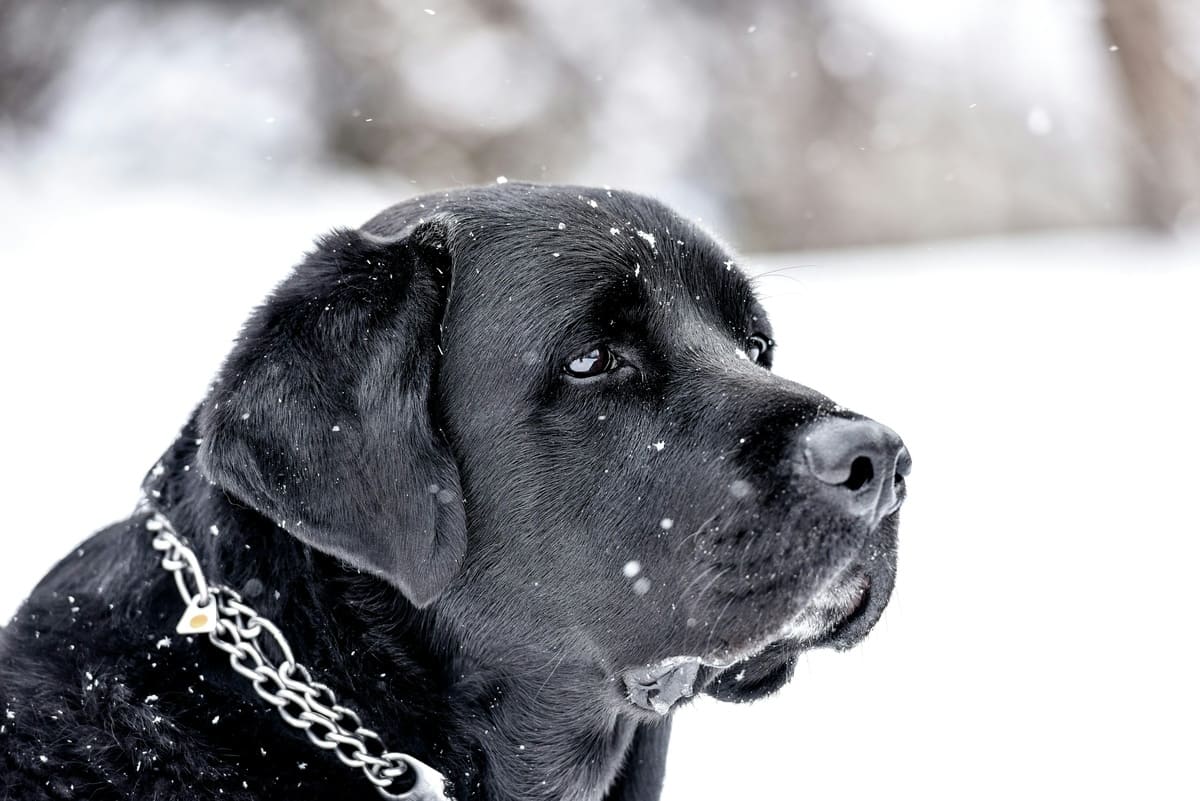 Для чего теперь жить