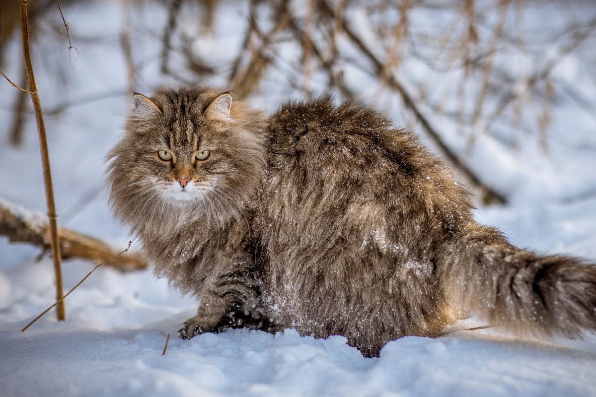 Испытательный срок