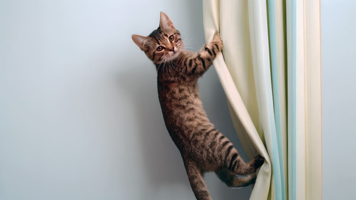 Отель "Лучшее приключение"